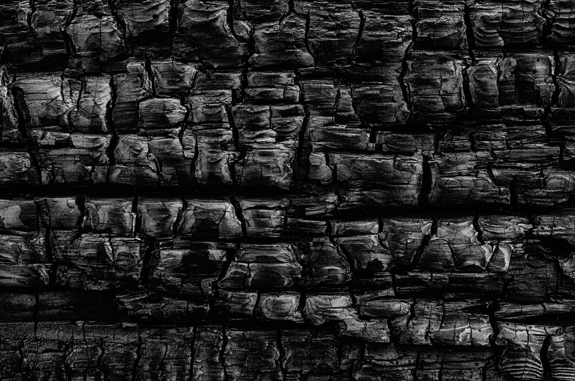Black Charred Wood